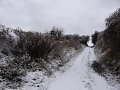 IMG_0515