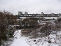 IMG_0516