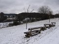 IMG_0517