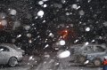 IMG_0595