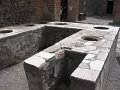 IMG_6291