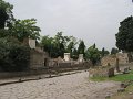 IMG_6303