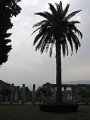IMG_6328