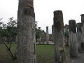IMG_6329