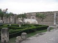 IMG_6331