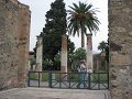 IMG_6334
