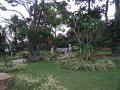 IMG_6350