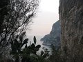 IMG_6352
