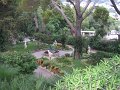 IMG_6356