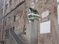 IMG_5772