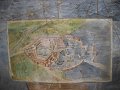 IMG_5826