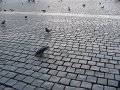 IMG_5861