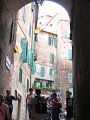 IMG_6512
