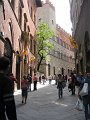 IMG_6514
