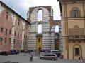 IMG_6528