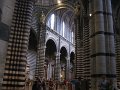 IMG_6546