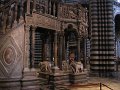 IMG_6548