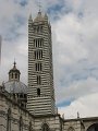 IMG_6559