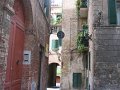 IMG_6569