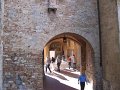IMG_6624