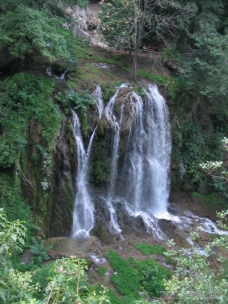IMG_6065.jpg