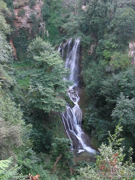 IMG_6068.jpg