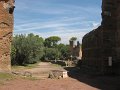 IMG_5928