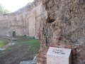 IMG_5930