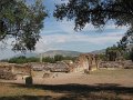 IMG_5945