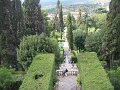 IMG_5989