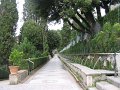 IMG_5992