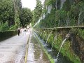 IMG_5998