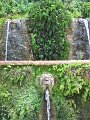 IMG_6004