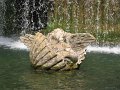 IMG_6020