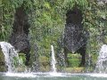 IMG_6021