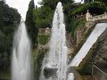 IMG_6031