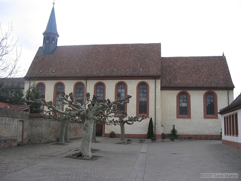 IMG_4658.JPG