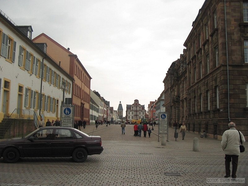 IMG_4678.JPG