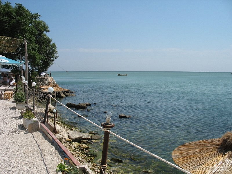 IMG_1781.jpg