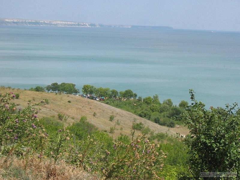 IMG_7472.jpg