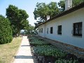 IMG_1753