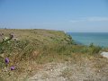 IMG_1793