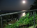 IMG_1803