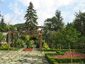 IMG_1806