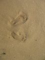 IMG_1829