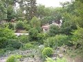 IMG_1863