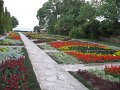 IMG_1869
