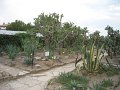 IMG_1870