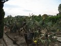 IMG_1880