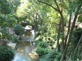 IMG_1918